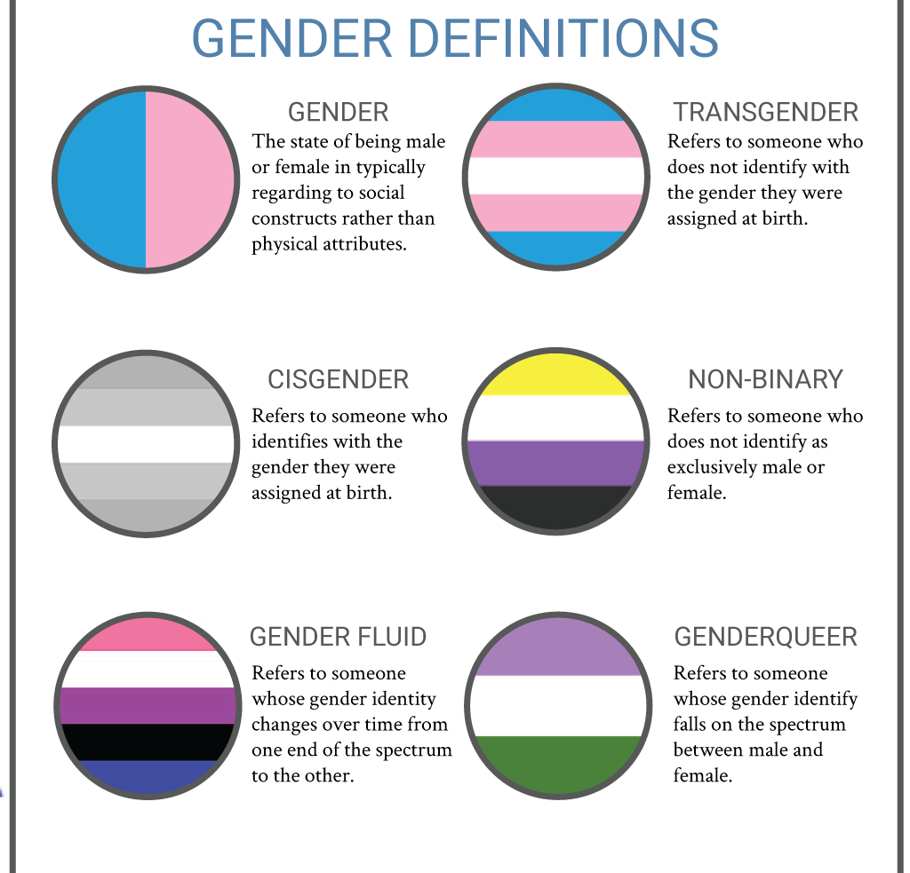 LGBT Term Quiz, PDF, Gender Identity